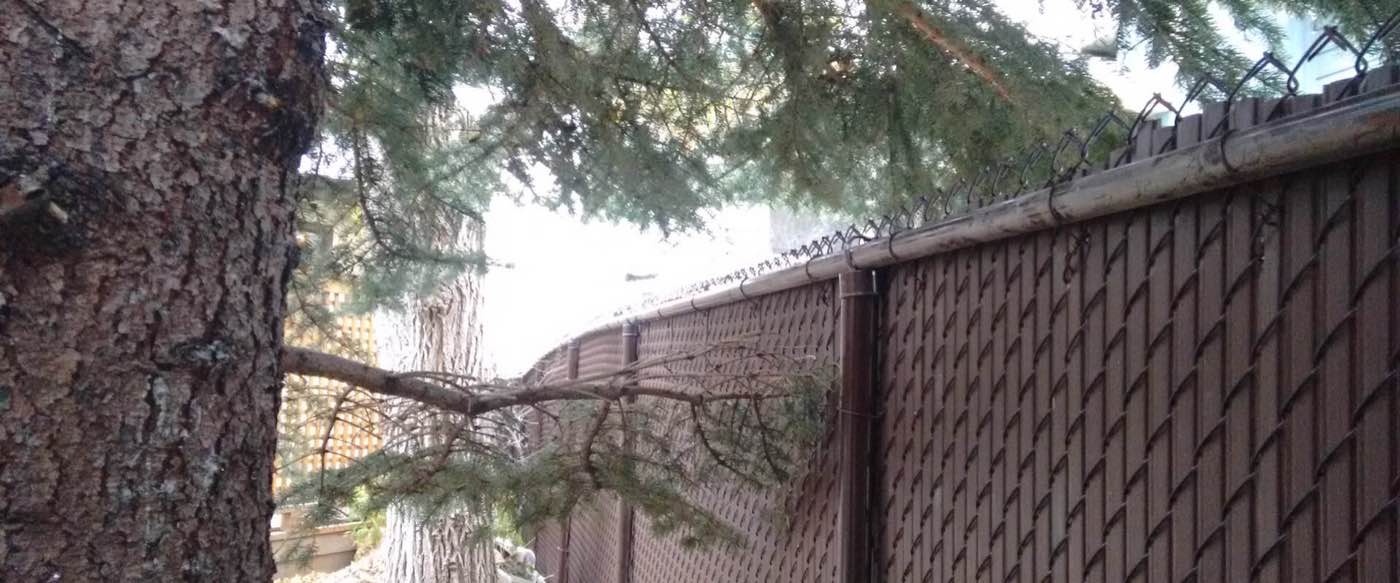 Residential chain link fence installation in Calgary